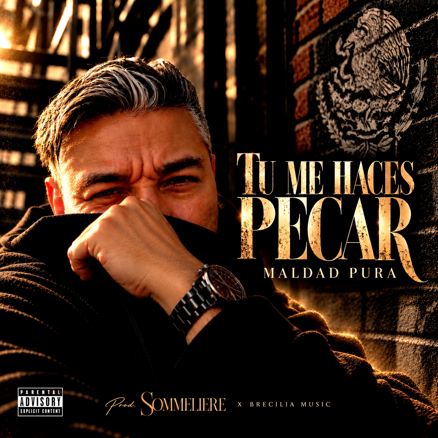 Tu Me Haces Pecar